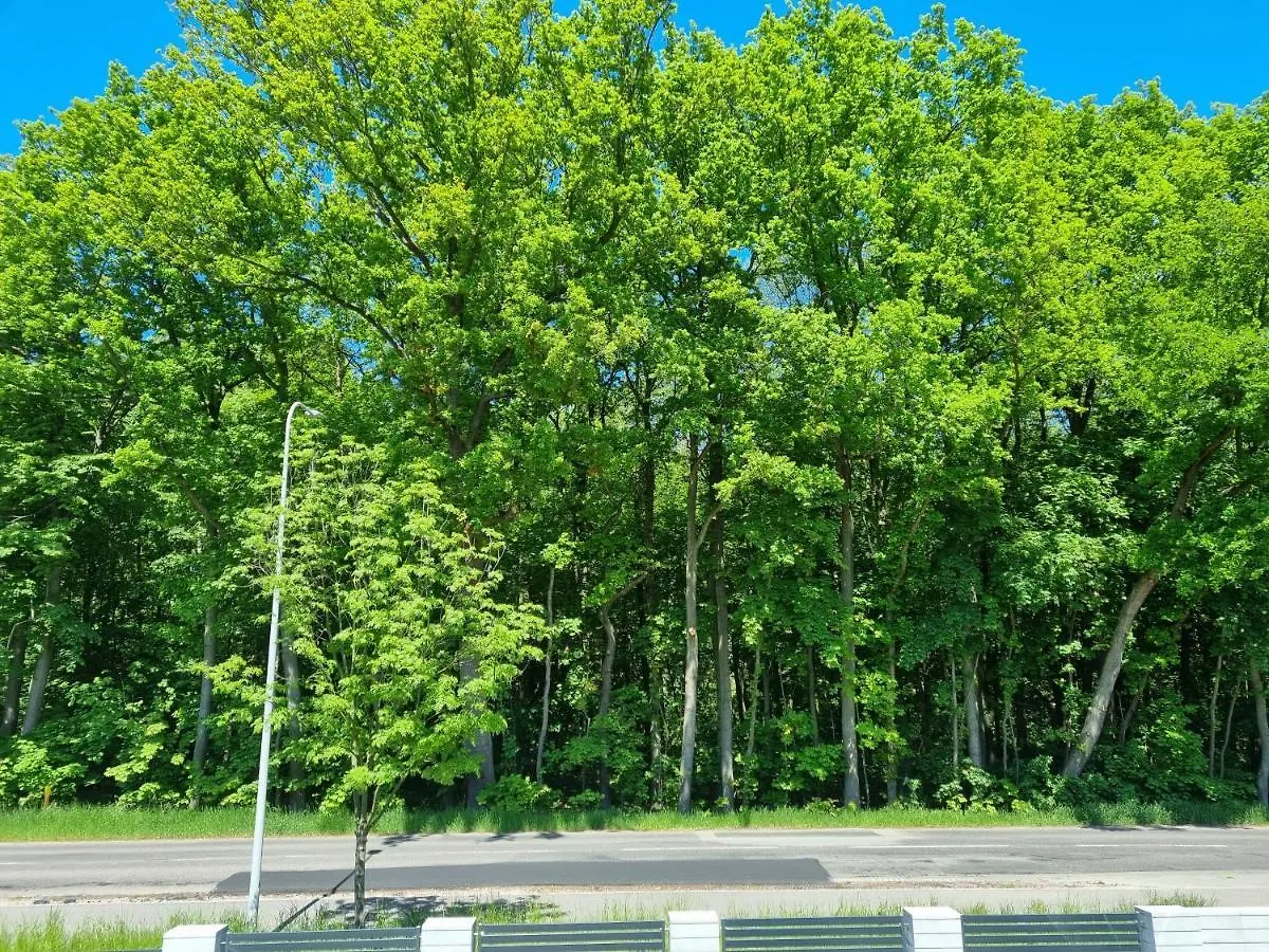 M&K Apartament Baltyk - Sobieszewo - Wyspa Sobieszewska 그단스크